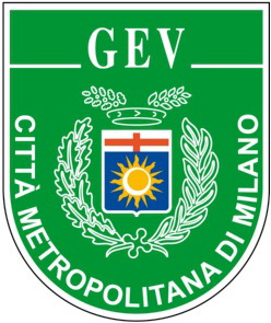 GEV Logo