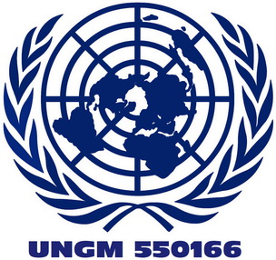 UNGM LOGO 2P